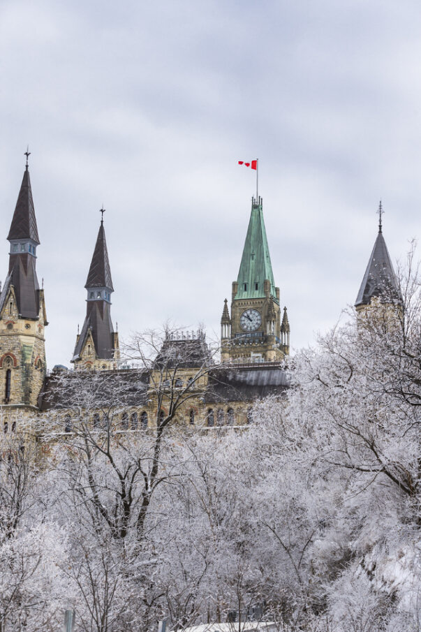 Canada’s Parliament Discusses Reform of the Social Support System